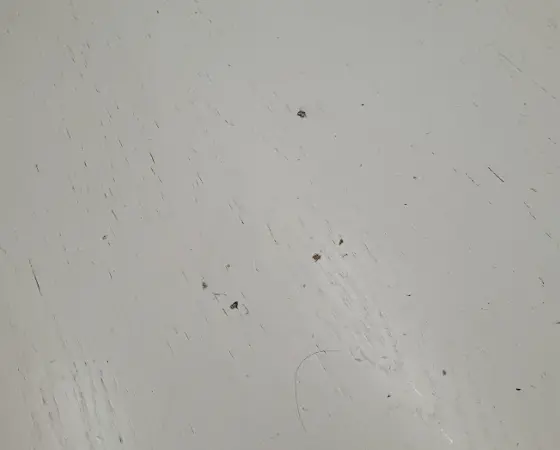 Cabine accoustique SBS quatro REANA - OCCASION – Image 7