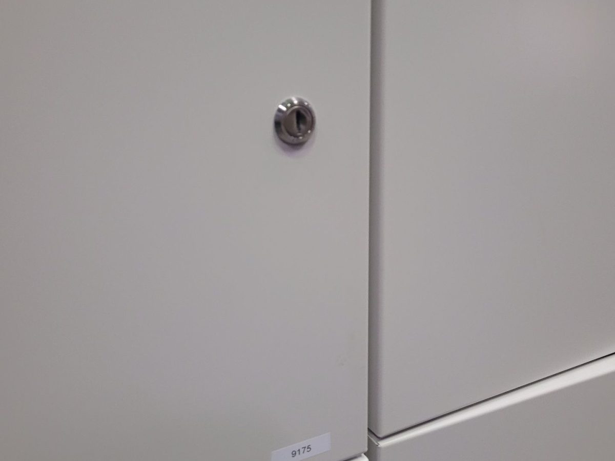 Casier individuel colonne 4x1, avec clés PHILIPPE - OCCASION – Image 4